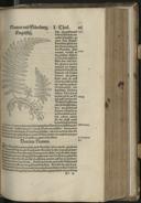 Seite 453