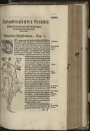 Seite 489