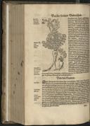 Page 602