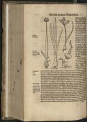 Page 606