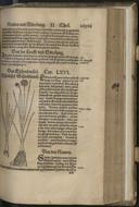 Page 609