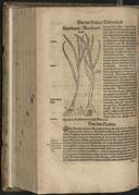 Page 612