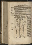Page 614