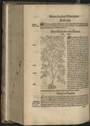 Page 662
