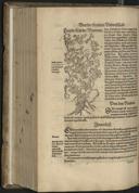 Page 664