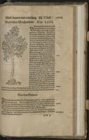 Seite 839