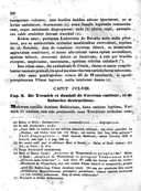 Seite 259