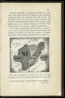 Seite 41