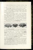 Seite 151