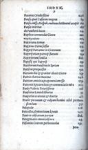 Seite 594