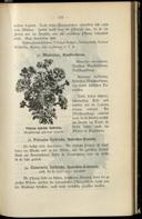 Seite 125