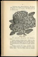 Seite 156
