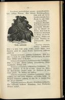 Seite 161
