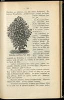 Seite 175