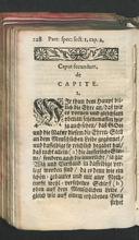 Seite 245