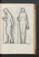 Page 241