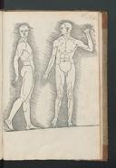 Page 243