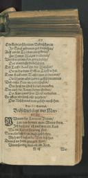 Seite 119