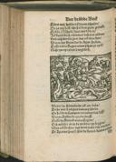 Seite 484