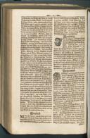 Seite 146