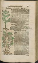 Seite 151