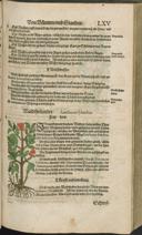 Seite 161