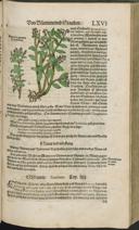 Seite 163