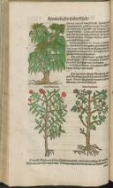 Seite 164