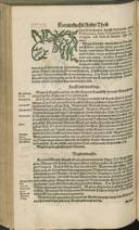 Seite 436