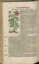 Seite 464