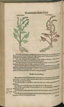 Seite 468