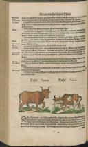 Seite 658