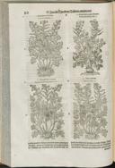 Seite 160