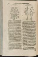 Seite 162