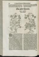 Seite 166