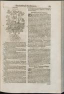 Seite 167