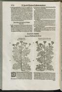 Seite 426
