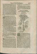 Seite 483