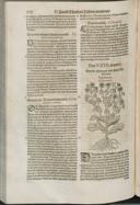 Seite 636