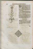 Seite 118