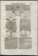 Seite 119