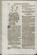 Seite 154