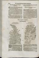 Seite 156