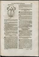 Seite 161