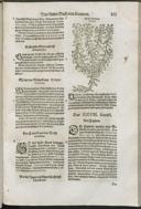 Seite 165
