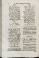 Seite 166