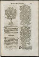Seite 169