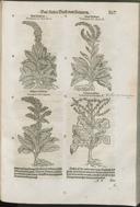 Seite 277