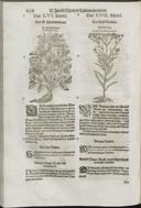 Seite 464