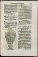 Seite 491
